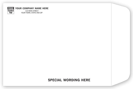789 Tyvek Mailing Envelope 10 x 13" QTY 100