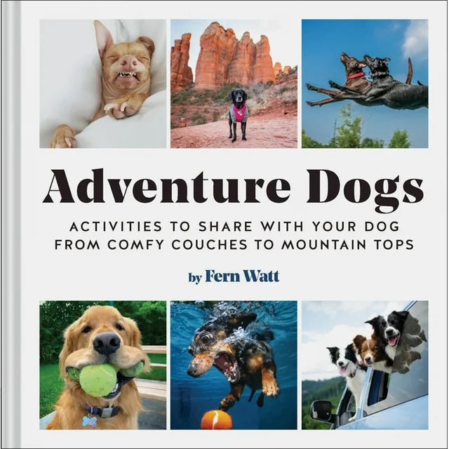Adventure Dogs: Activities to Share with Your Dog