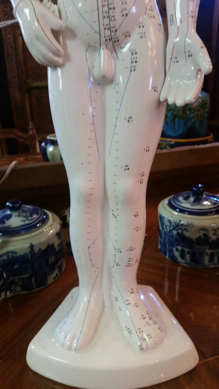 ANATOMY Acupuncture Human Structure-Jantiques LLC.