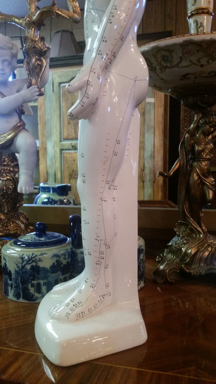 ANATOMY Acupuncture Human Structure-Jantiques LLC.