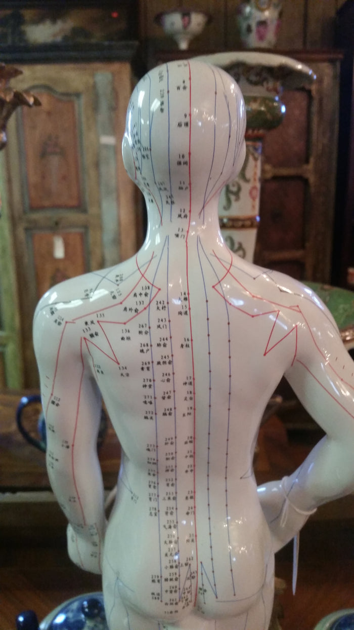 ANATOMY Acupuncture Human Structure-Jantiques LLC.