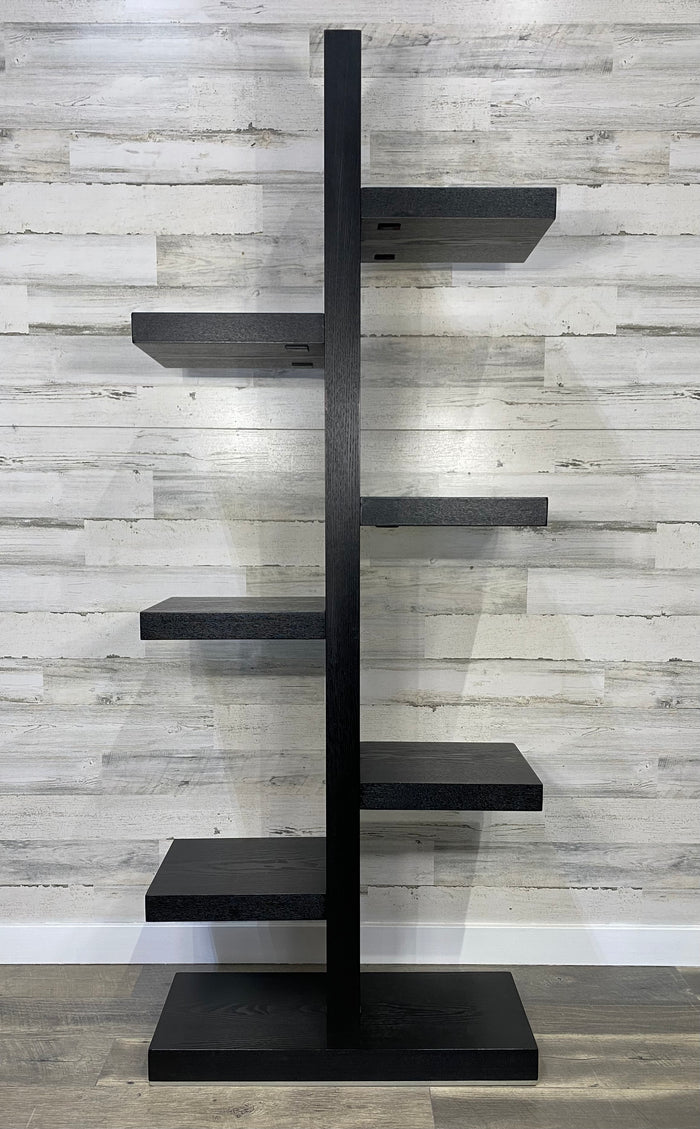 Black Asymmetrical Bookshelf Display