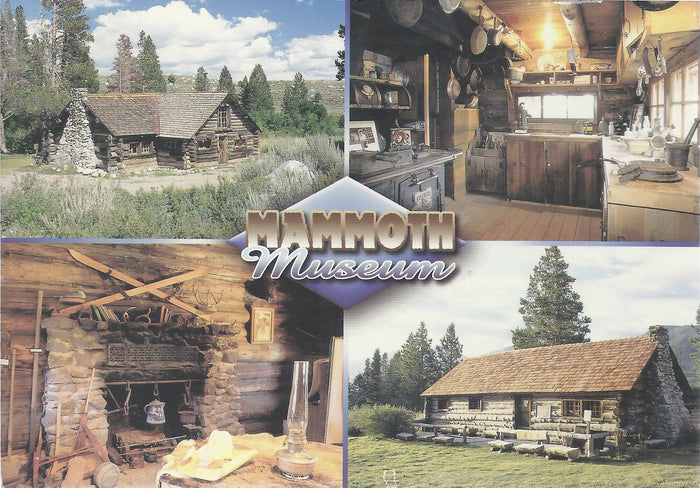 Mammoth Museum Postcard-QTY=50