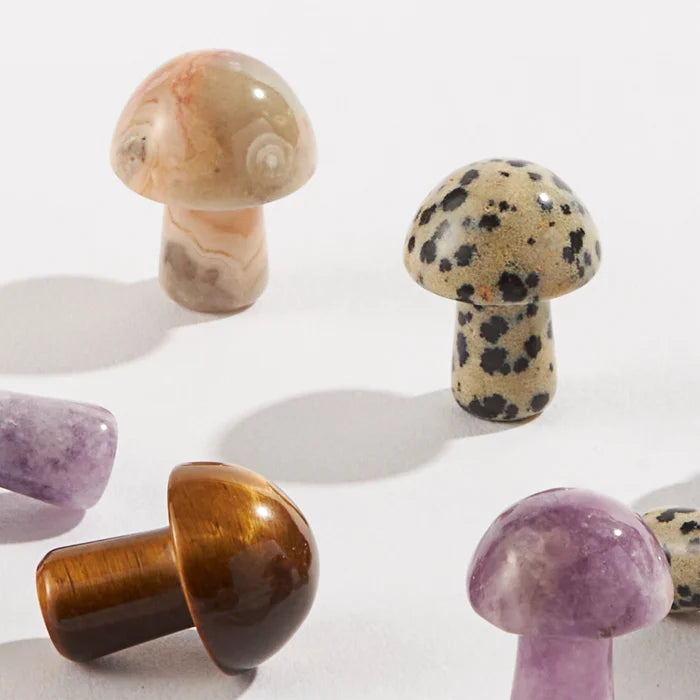 Mini Mushroom