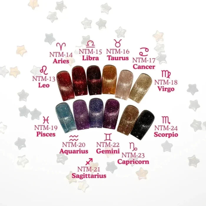 Nail Thoughts Zodiac Flash Magnet – Set of 12, 10 ml NT Magnet Bottle Nail Thoughts