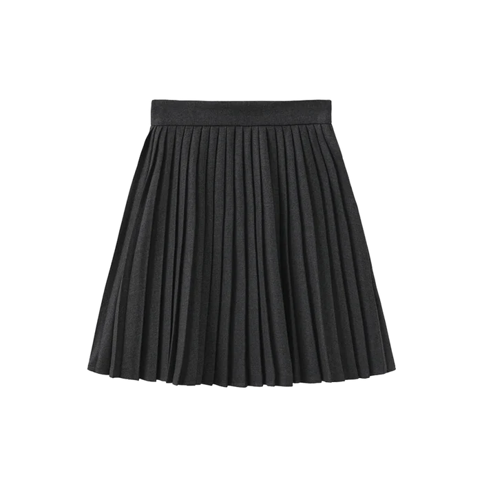 skirt knife pleated - charcoal