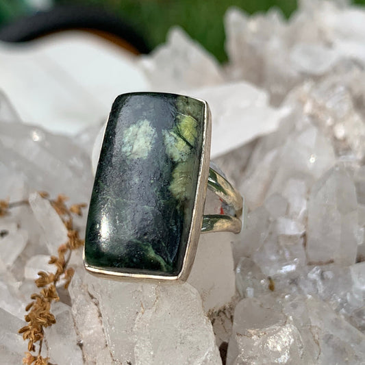 Spider Jasper sz8