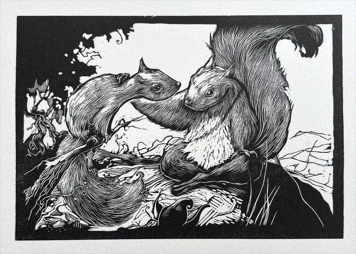 Squirrel finds a companion