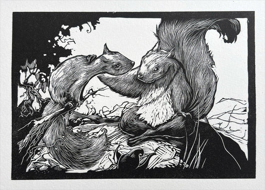 Squirrel finds a companion